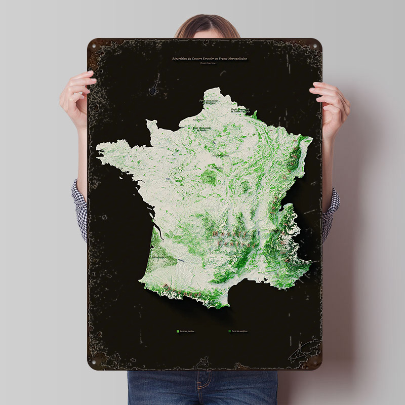 Massifs Forestiers Fran? Plaka – Home Decor Ai Free recenzja i cena